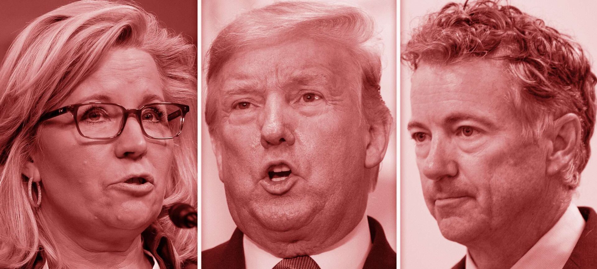 Critics to President Donald Trump's assertion of power include Critics include Liz Cheney and Rand Paul