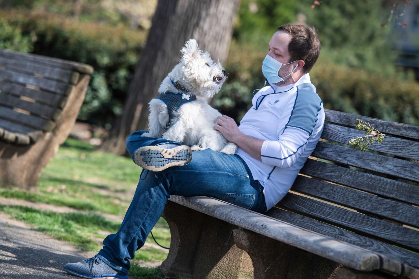 Derek Najdzin hangs out with Duke, a West Highland White Terrier, in Meridian Hill Park on Tuesday. 