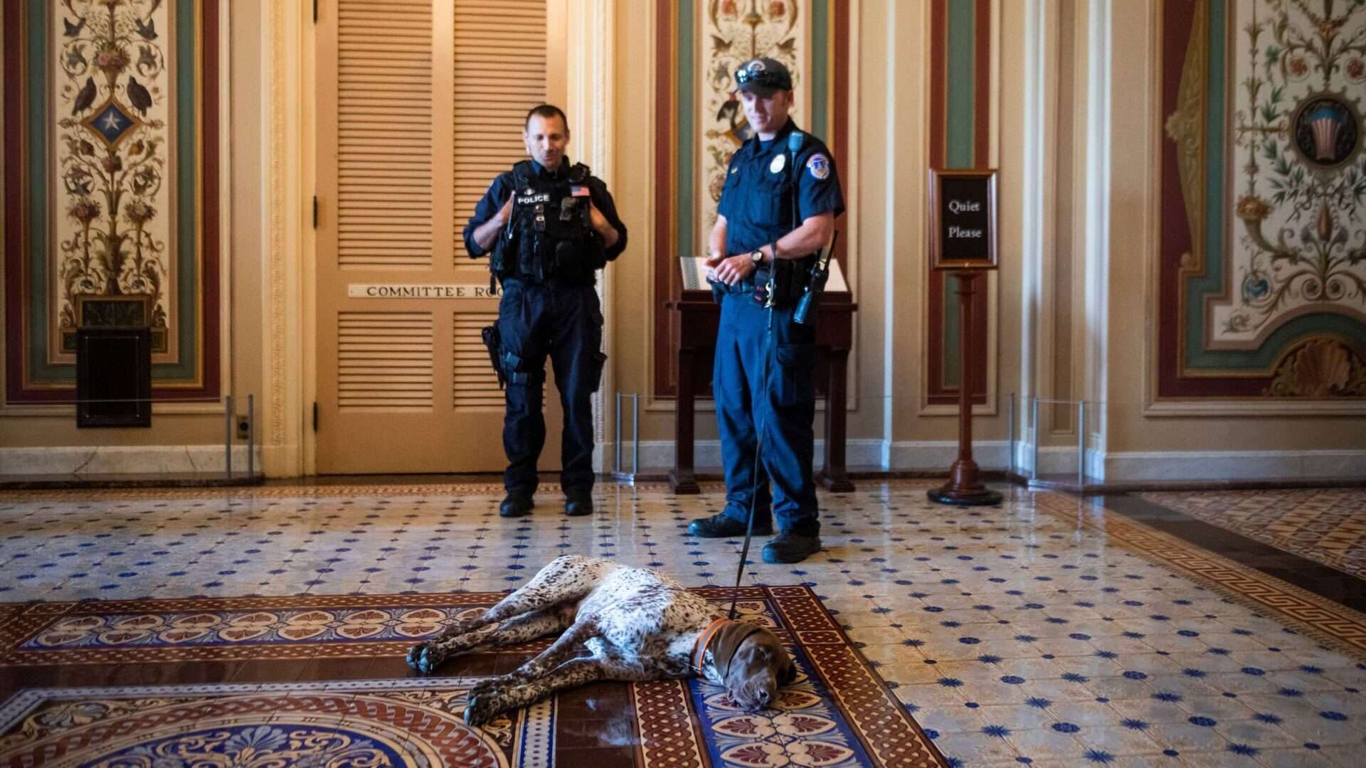 Max, a U.S. Capitol Police K-9, and his handler Steve Nunn, right, are seen outside the Senate Foreign Relations room in the Capitol on Thursday, June 24, 2021. 