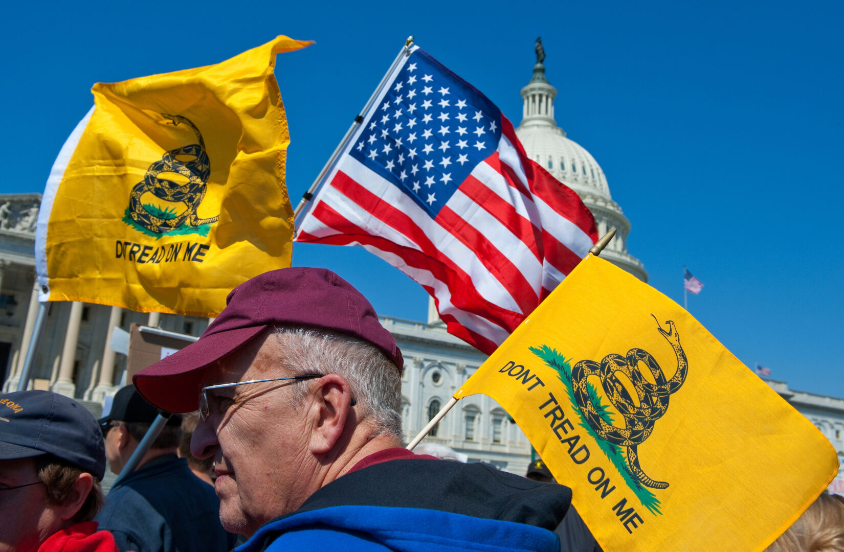 Where are those ‘Don’t Tread on Me’ flags now? - Roll Call