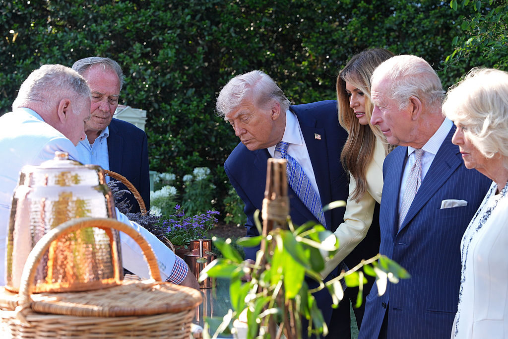 President Donald Trump, first lady Melania Trump, King Charles III and Queen Camilla visit a White House garden and beehive on Tuesday. (Alex Brandon-Pool/Getty Images)