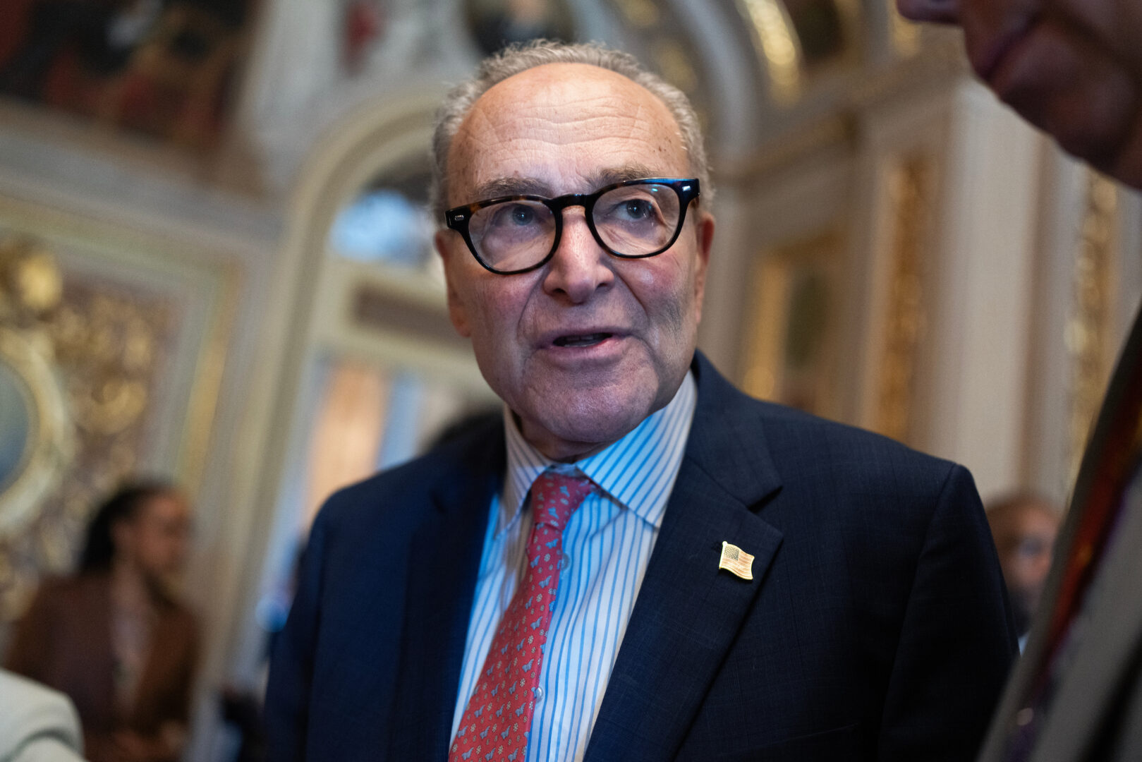 Minority Leader Charles Schumer, D-N.Y., talks with reporters in the Capitol in June. Senate Democrats released the results of their annual diversity survey this week. 