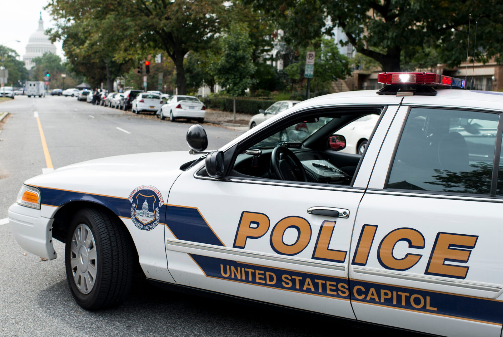 Capitol Police have responded to multiple incidents involving weapons near the Capitol this year, including a guillotine spotted this week.  